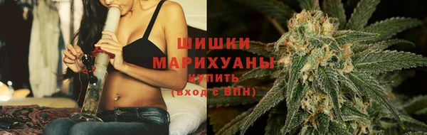 ГАЛЛЮЦИНОГЕННЫЕ ГРИБЫ Балахна