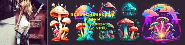 дживик Михайловск