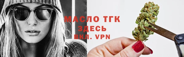 гашик Михайловка