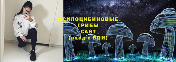 гашик Михайловка